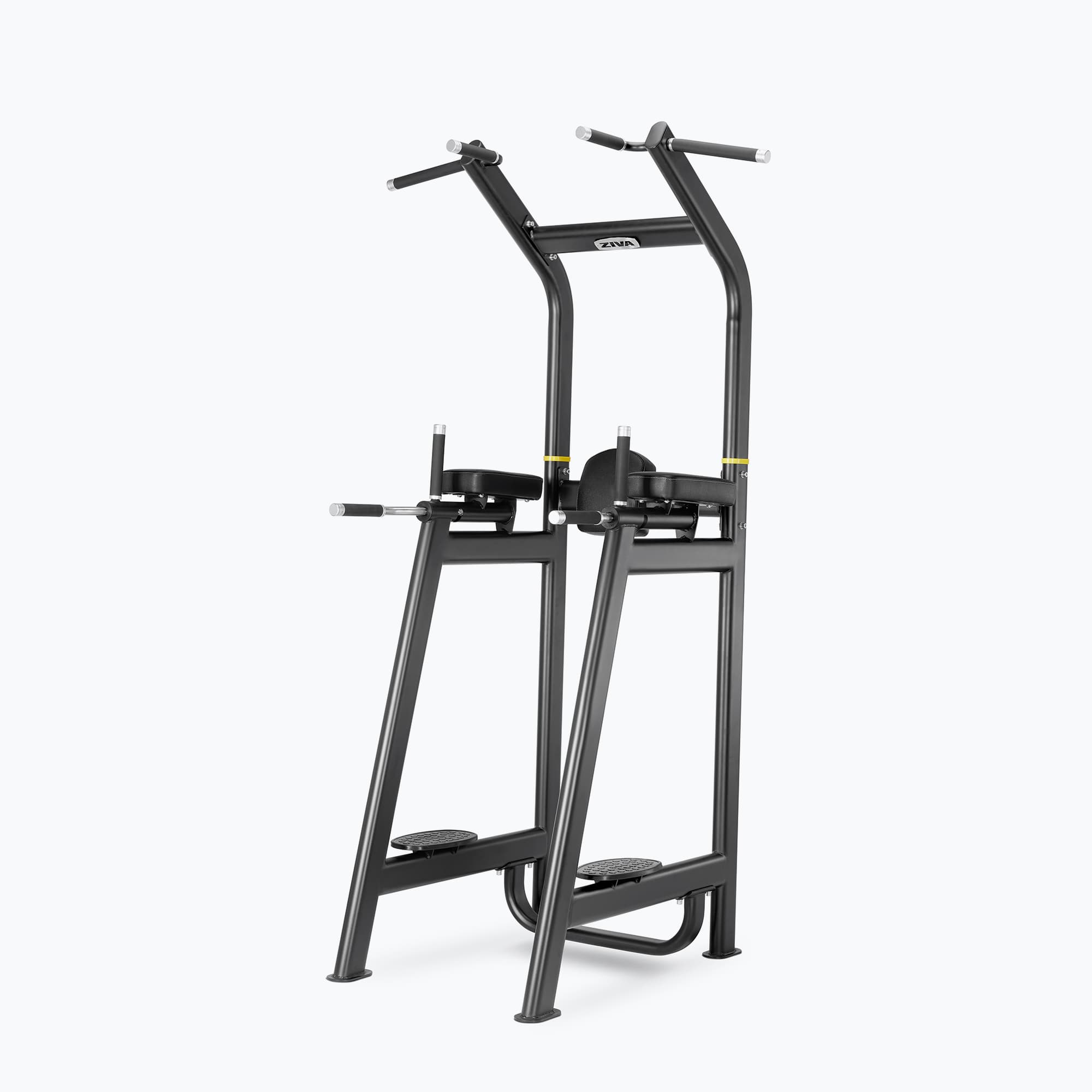 MULTI-GRIP KNEE RAISE/DIP/PULL-UP STATION