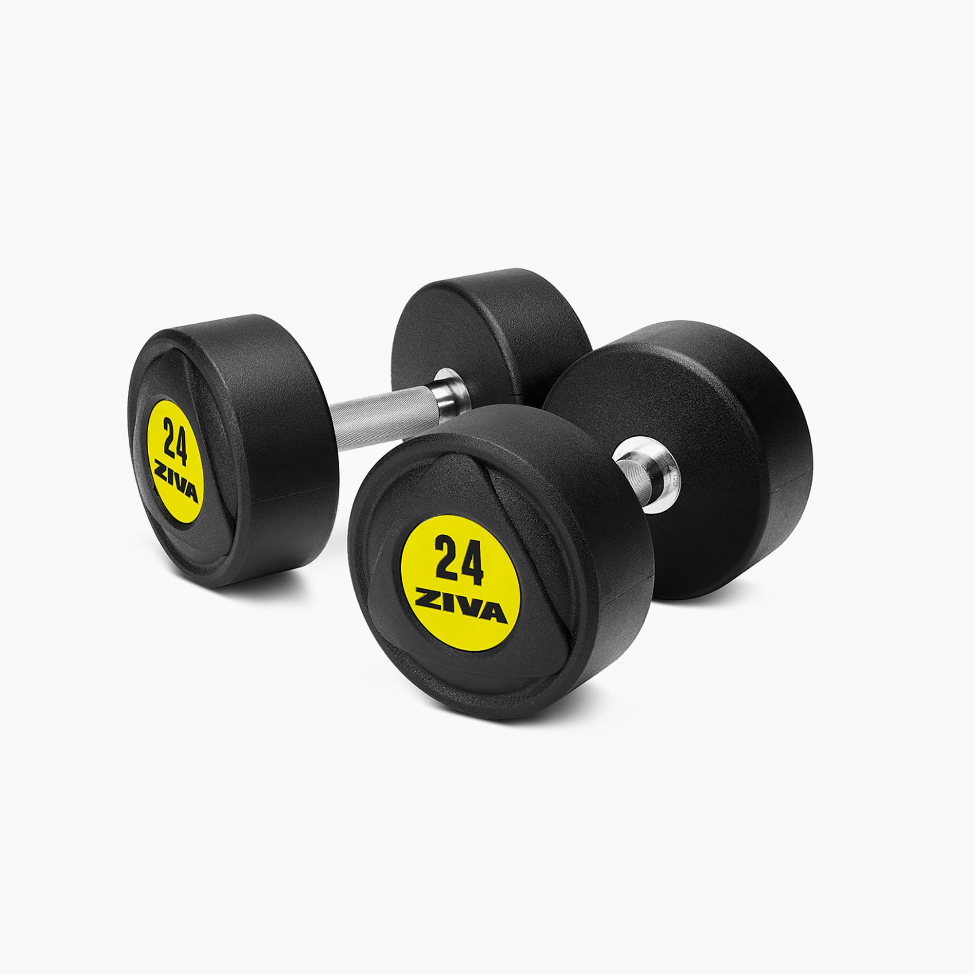 SL URETHANE DUMBBELLS (2KG INCREMENTS)