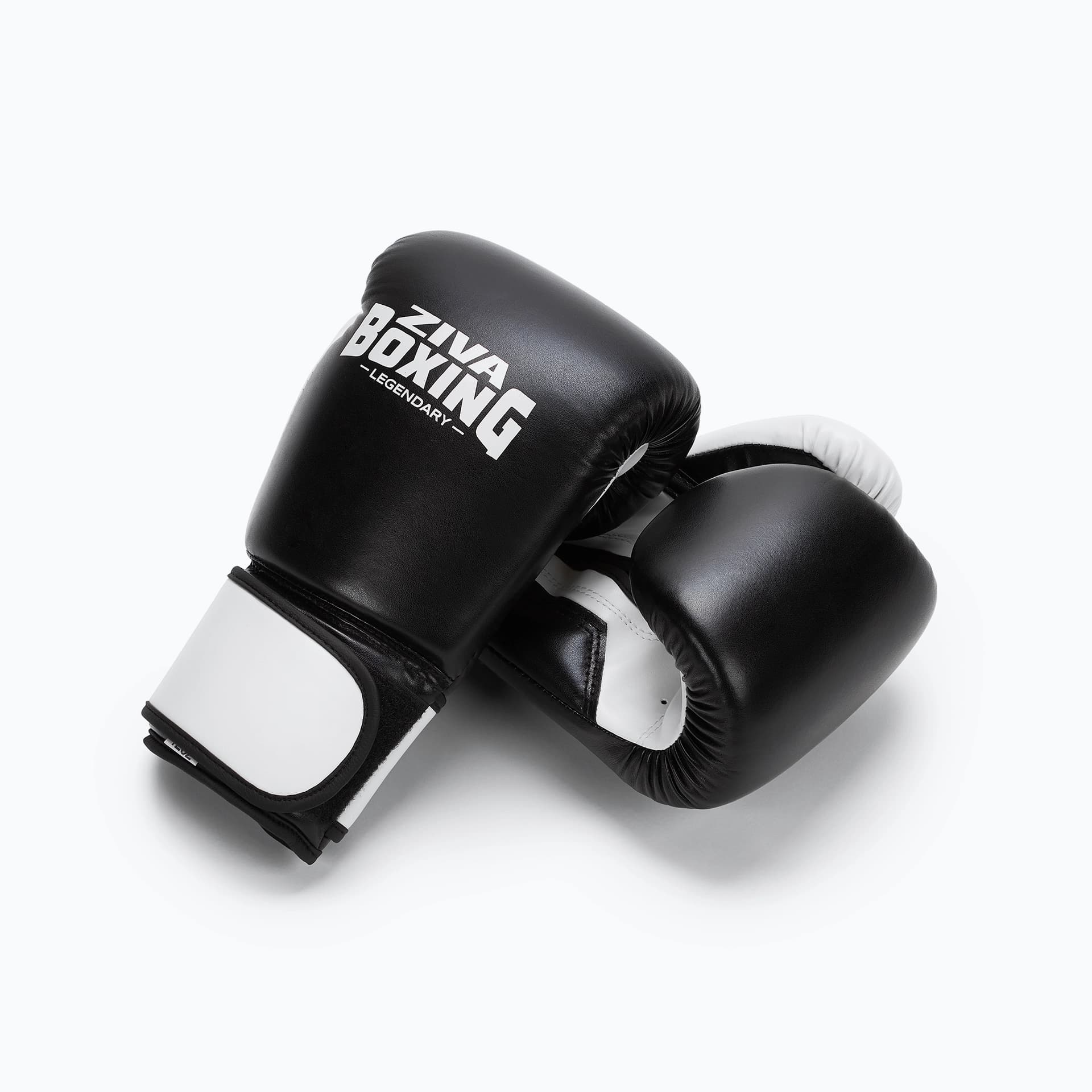 PERFORMANCE BOXING GLOVES